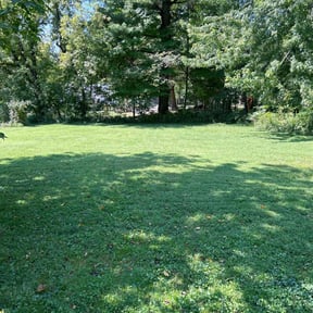 residential landscaping by Raincrow Landscape and Mowing reviewed on August 15, 2025