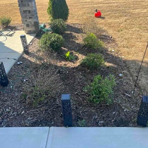 Bush Trimming by CSA landscaping inc reviewed on March 17, 2026