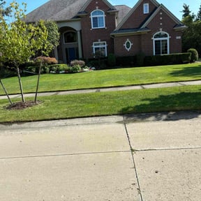 yard care by Aces property services reviewed on August 17, 2025