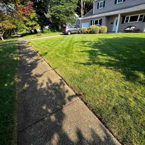yard care by Donald Patterson reviewed on August 19, 2025