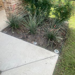Bush Trimming by Boss Outdoor Service reviewed on August 15, 2025