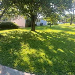 yard work by Cut-n-Go lawn maintenance reviewed on August 19, 2025