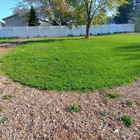 landscaping services by "Low Cost-in" " Lawn & Things" reviewed on August 18, 2025