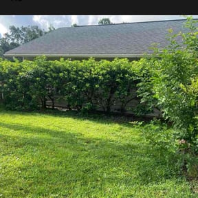 Bush Trimming by NRB Landscape Services reviewed on October 19, 2025