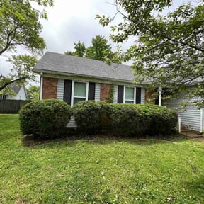 Bush Trimming by Residential maintenance reviewed on August 21, 2025