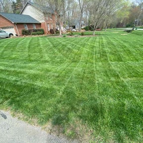 yard maintenance by Stand lawn care Services reviewed on August 16, 2025