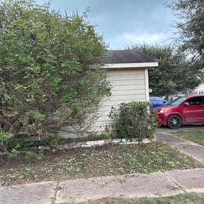 Bush Trimming by Dxd lawn care reviewed on December 4, 2025