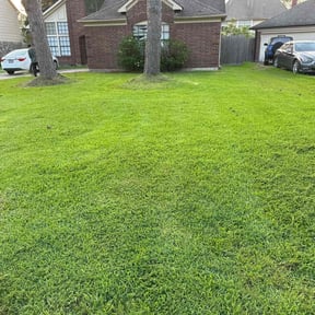 turf maintenance by Lincoln Landscape reviewed on August 16, 2025