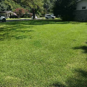 yard maintenance by real lawn service reviewed on August 18, 2025