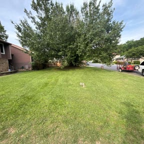 lawn maintenance by Myers Landscaping &amp; Hauling reviewed on July 14, 2023