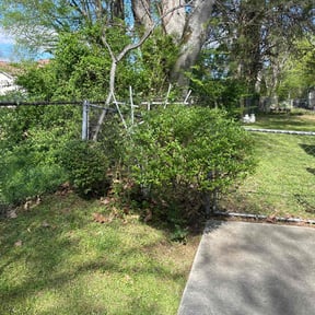 Bush Trimming by Taylor lawn care reviewed on August 16, 2025