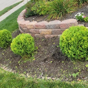 Bush Trimming by vets lawn care reviewed on August 19, 2025
