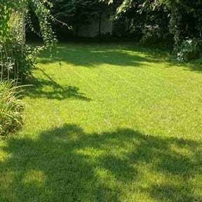 yard work by Leon Davis JR Landscaping LLC reviewed on August 16, 2025