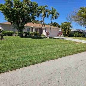 turf maintenance by Felo Pride lawn services reviewed on March 20, 2024