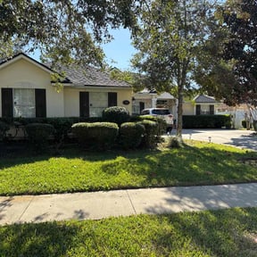 Bush Trimming by D.P.S (Dave Property Services) reviewed on November 23, 2025