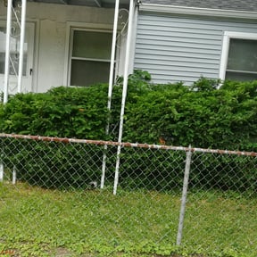 Bush Trimming by Much Obliged Lawn Care reviewed on August 16, 2025
