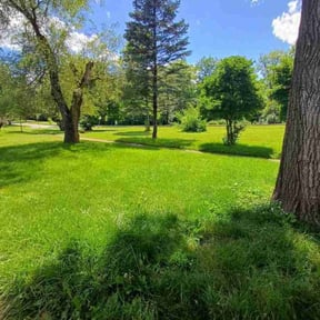 yard service by Browning Lawn Care reviewed on April 19, 2024