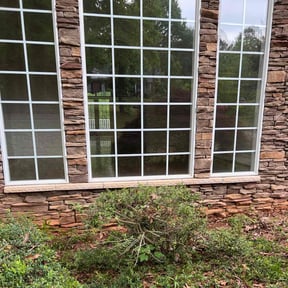 Bush Trimming by Down To Earth Landscaping reviewed on August 15, 2025