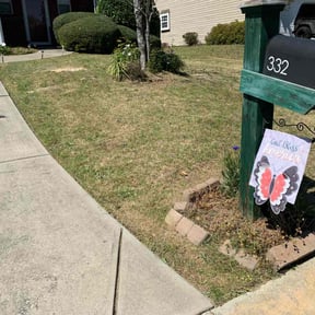 Bush Trimming by A Man and His Machines Lawn Services LLC  reviewed on August 17, 2025