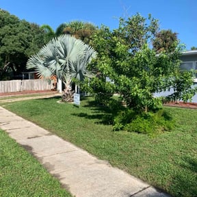 landscaping by Thompson Lawncare reviewed on August 21, 2025