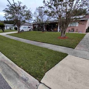residential landscaping by Divinity Services LLC. reviewed on August 19, 2025