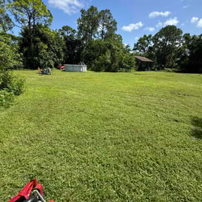 lawn care services by Capital Curb Appeal reviewed on November 9, 2017