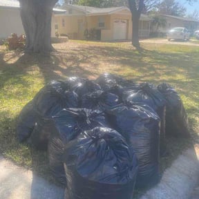 Leaf Removal by Bigdogs Property Maintenance reviewed on March 12, 2026