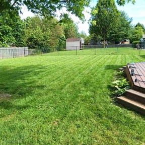 yard service by Cutting Edge Landscaping Professionals LLC reviewed on August 17, 2025