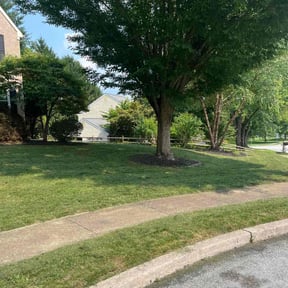 landscaping by Trevol lawn general services LLC reviewed on November 19, 2025