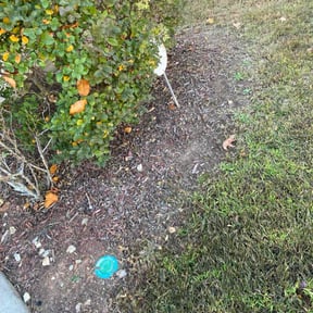 Flower Bed Weeding by Green Lock Property Management reviewed on November 21, 2025