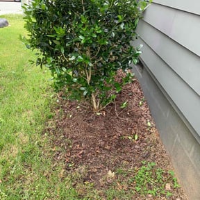 Bush Trimming by Keep it Loe Lawn Service reviewed on August 15, 2025