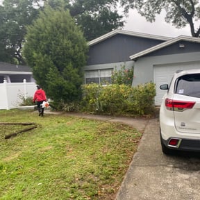 Bush Trimming by Quick Pro Cutz reviewed on August 15, 2025