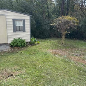 Bush Trimming by Markey lawns care reviewed on August 17, 2025
