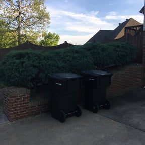 Bush Trimming by Ace Of Blades Landscaping Inc. reviewed on August 21, 2025