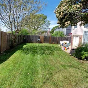 landscape maintenance by Electric Landscaping LLC reviewed on August 19, 2025