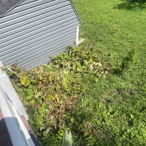 Bush Trimming by Wes Landscaping reviewed on August 20, 2026