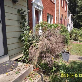 Bush Trimming by Ronnie Thacker reviewed on August 19, 2025