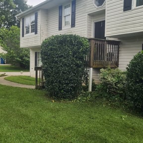 Bush Trimming by A&L Lawncare reviewed on August 17, 2025
