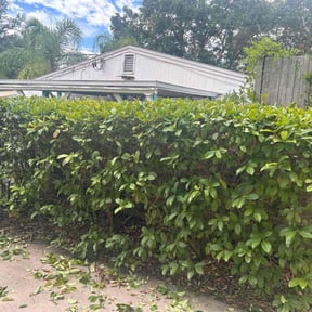 Bush Trimming by Unlimited Works reviewed on August 19, 2025