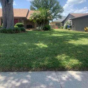 yard maintenance by 66landscaping LLC reviewed on December 6, 2025