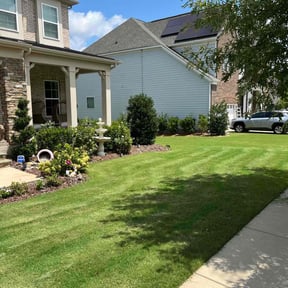 yard work by Shannon's Lawn Service reviewed on August 16, 2025