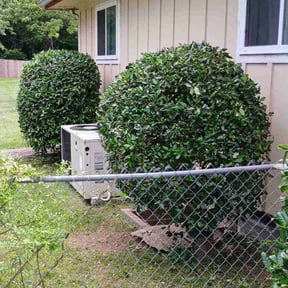 Bush Trimming by J&M Landscaping reviewed on August 20, 2025
