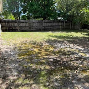 Leaf Removal by GTS Lawn Company reviewed on April 20, 2026