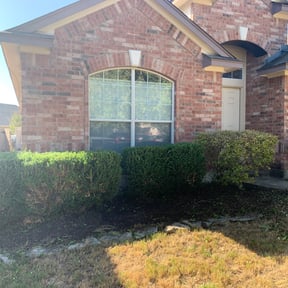 Bush Trimming by AWWsome lawncare and Landscaping llc reviewed on August 19, 2025