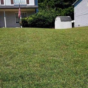 Cleanups by Adrian landscaping reviewed on August 20, 2025
