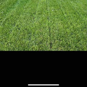lawn care by Land and Lawn Care reviewed on April 26, 2024