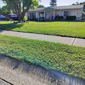 turf maintenance by Diamond Landscape of Florida reviewed on November 9, 2017