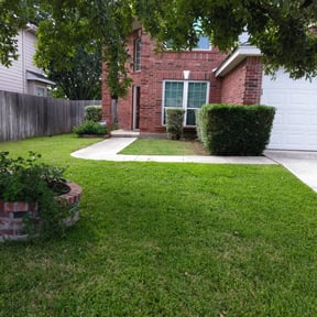 Bush Trimming by Vanlandingham Lawn Care & Services reviewed on August 16, 2025