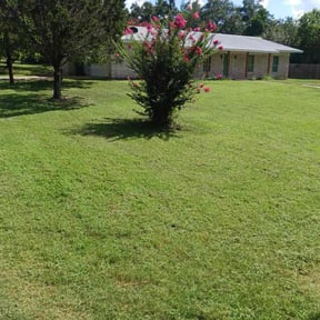 landscaping services by Banda Landscaping reviewed on August 19, 2025