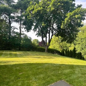 residential landscaping by Father &amp; Son Services reviewed on December 18, 2025